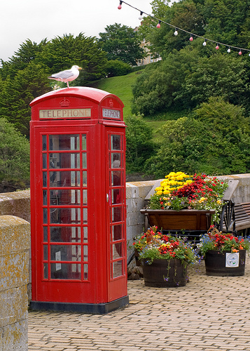 Phone Box, Ilfracombe Harbour